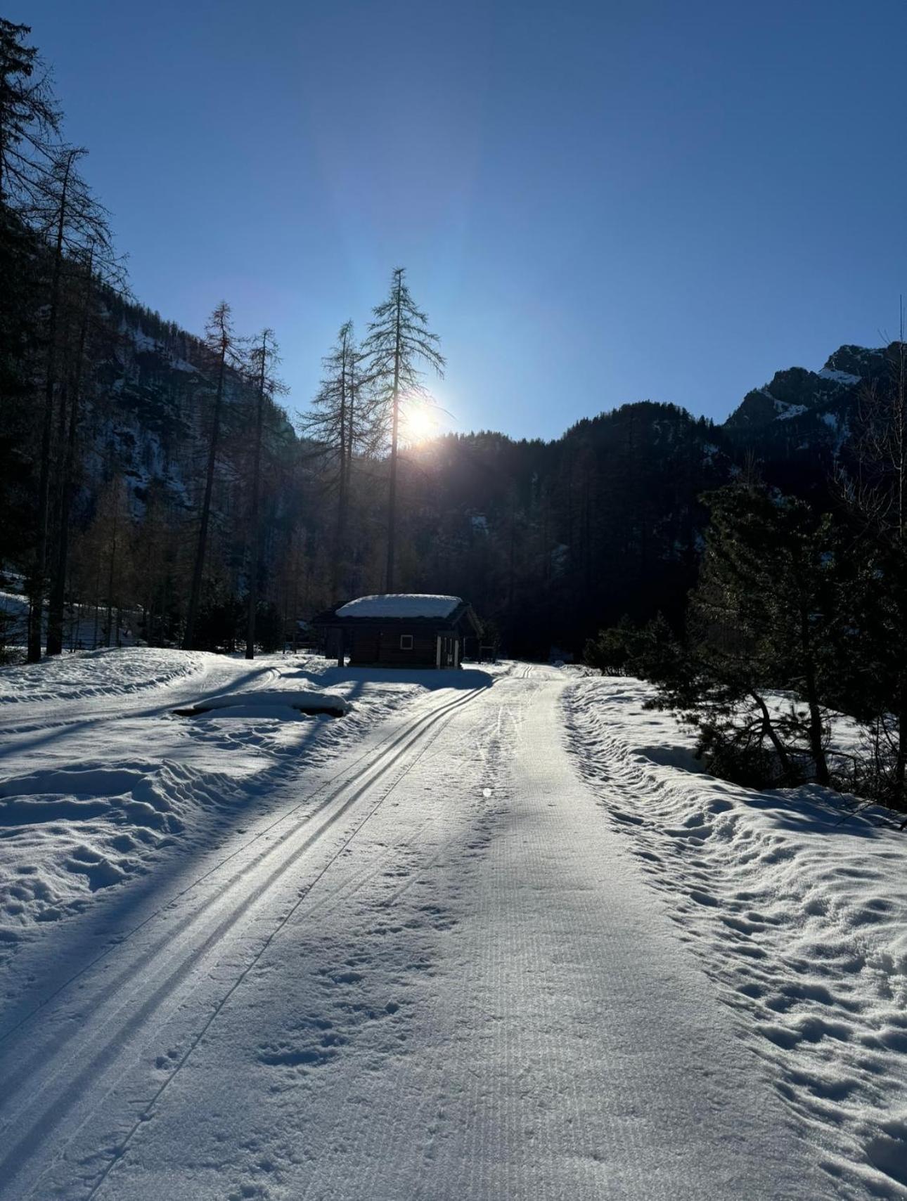 Il Castello Nel Bosco, Appartamento Torrente Champorcher Bagian luar foto